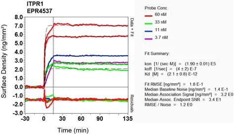 OI-RD Scanning - Anti-IP3 receptor antibody [EPR4537] (AB108517)