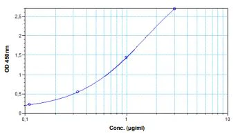 Sandwich ELISA - Ipilimumab ELISA Kit (AB237653)