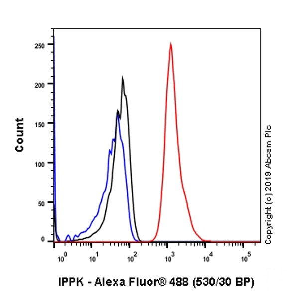 Flow Cytometry (Intracellular) - Anti-IPPK/IPK1 antibody [EPR20893-54] (AB230807)