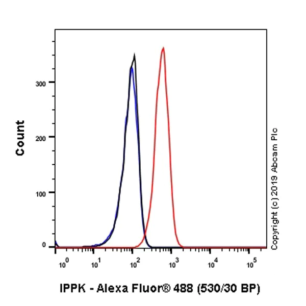 Flow Cytometry (Intracellular) - Anti-IPPK/IPK1 antibody [EPR20893-54] - BSA and Azide free (AB269959)