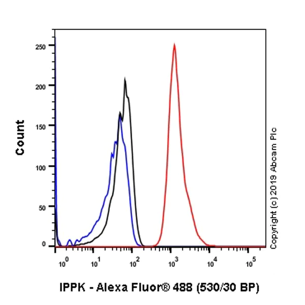 Flow Cytometry (Intracellular) - Anti-IPPK/IPK1 antibody [EPR20893-54] - BSA and Azide free (AB269959)