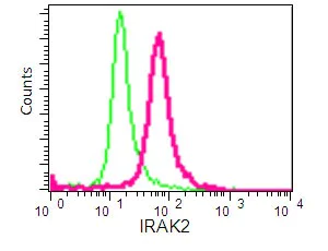 Flow Cytometry (Intracellular) - Anti-IRAK2 antibody [EPR16530] - BSA and Azide free (AB251120)