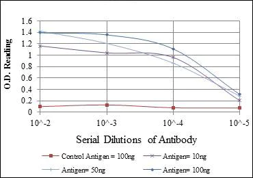 ELISA - Anti-IRAK4 antibody [2H9] (AB119942)