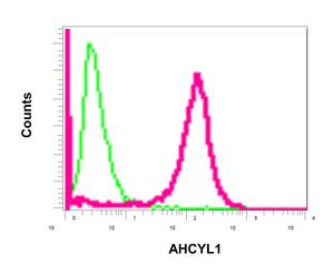 Flow Cytometry (Intracellular) - Anti-IRBIT antibody [EPR13409] (AB178693)