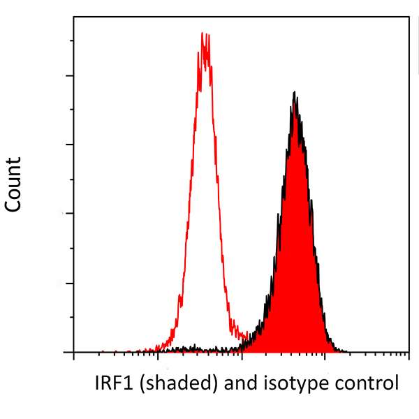 Flow Cytometry - Anti-IRF1 antibody [BLR039F] (AB243895)
