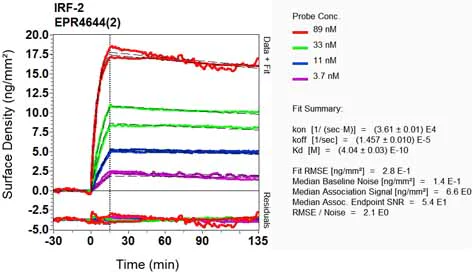 OI-RD Scanning - Anti-IRF2 antibody [EPR4644(2)] (AB124744)