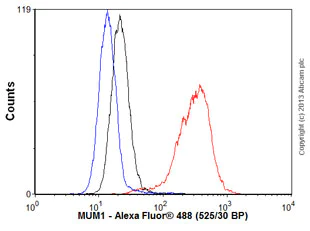 Flow Cytometry (Intracellular) - Anti-IRF4 antibody [EP5699] - BSA and Azide free (AB240071)