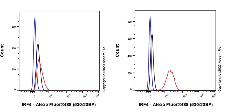 Flow Cytometry (Intracellular) - Anti-IRF4 antibody [EPR28687-87] - BSA and Azide free (AB315395)