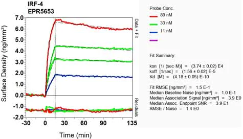 OI-RD Scanning - Anti-IRF4 antibody [EPR5653] (AB124691)