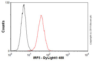 Anti-IRF5 antibody [10T1]