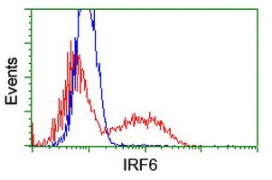 Flow Cytometry (Intracellular) - Anti-IRF6 antibody [OTI2A12] (AB123880)