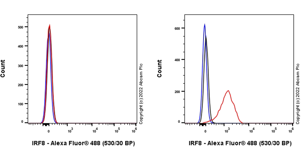 Flow Cytometry (Intracellular) - Anti-IRF8 antibody [EPR26382-10] - BSA and Azide free (ab306553), expandable thumbnail