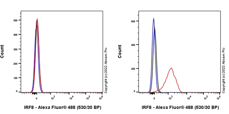 Flow Cytometry (Intracellular) - Anti-IRF8 antibody [EPR26382-10] - BSA and Azide free (AB306553)