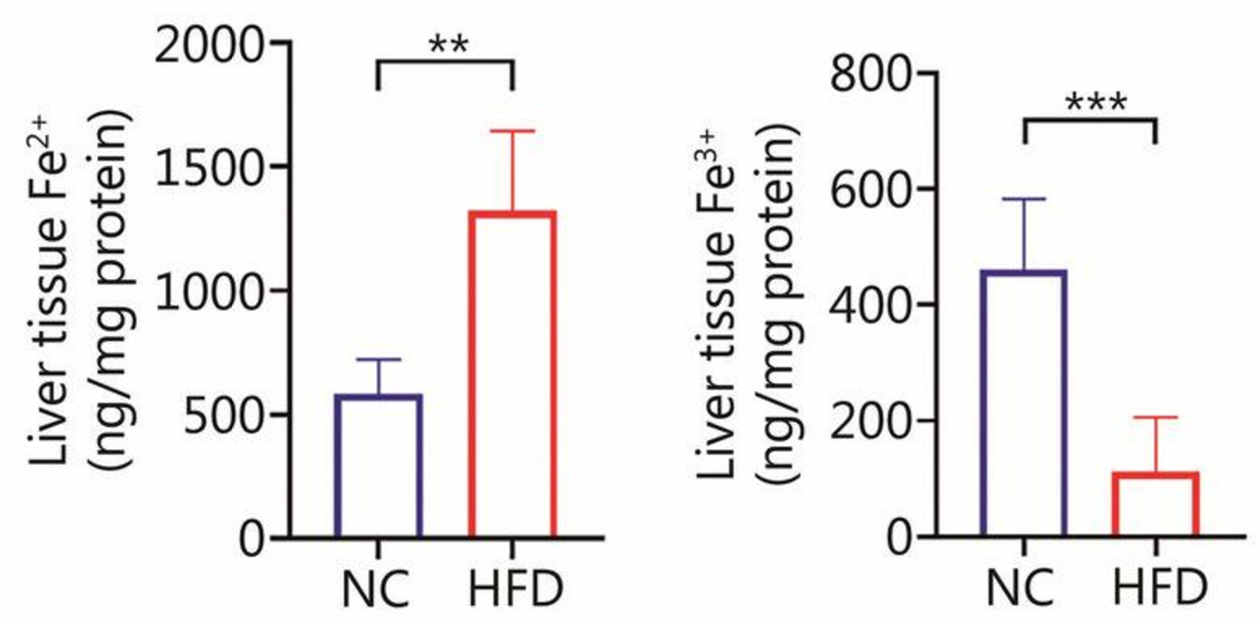 Biochemical assay - Iron Assay Kit (Colorimetric) (ab83366), expandable thumbnail