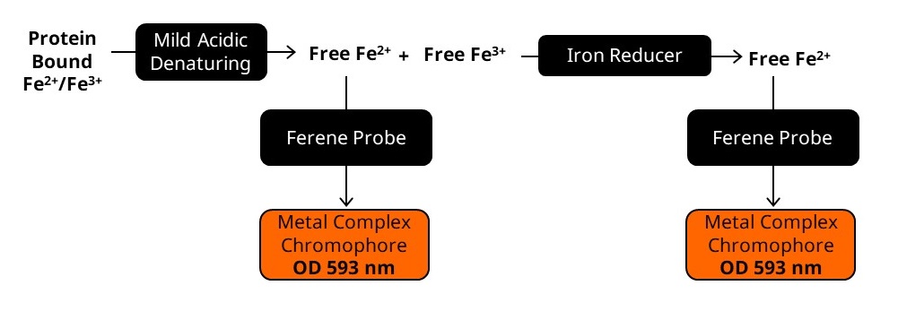 Biochemical assay - Iron Assay Kit (Colorimetric) (ab83366), expandable thumbnail