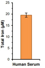 Functional Studies - Iron Assay Kit (Colorimetric) (AB83366)