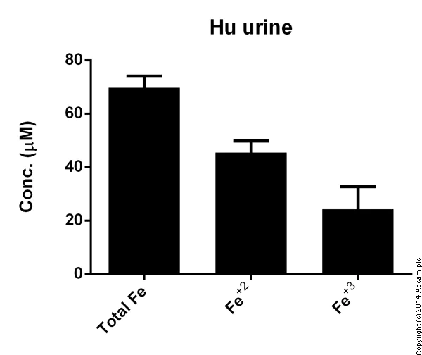 Functional Studies - Iron Assay Kit (Colorimetric) (AB83366)