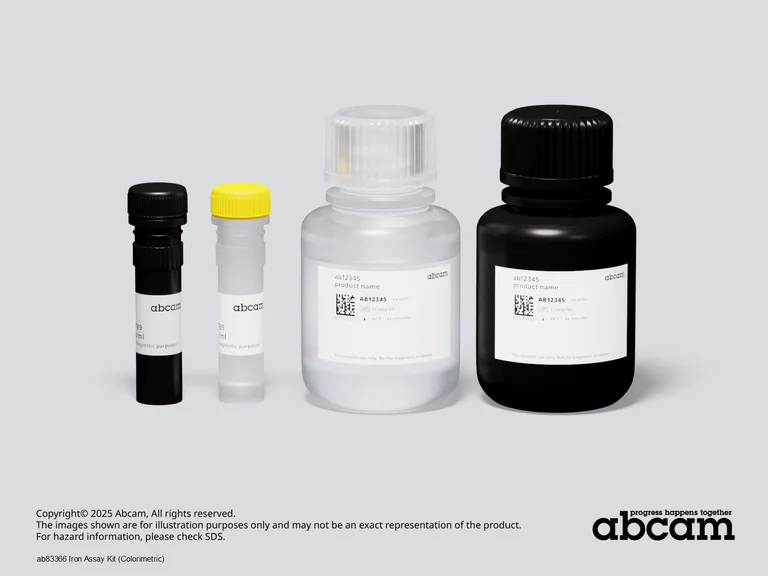 Schematic Diagram - Iron Assay Kit (Colorimetric) (AB83366)