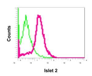 Flow Cytometry (Intracellular) - Anti-ISL-2 antibody [EPR12785] (AB176576), expandable thumbnail