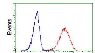 Flow Cytometry (Intracellular) - Anti-ITM2B antibody [OTI1C11] (AB119044)