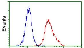 Flow Cytometry (Intracellular) - Anti-ITM2B antibody [OTI1C11] (AB119044)