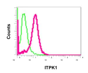 Flow Cytometry (Intracellular) - Anti-ITPK1 antibody [EPR10631] - BSA and Azide free (AB249873)