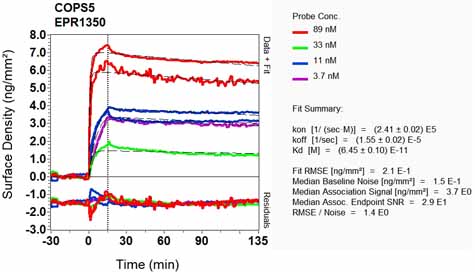 OI-RD Scanning - Anti-JAB1 antibody [EPR1350] - BSA and Azide free (AB247980), expandable thumbnail