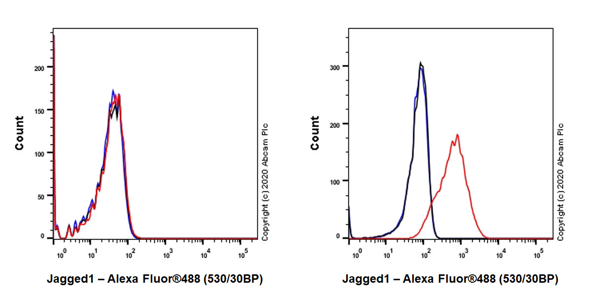 Flow Cytometry - Anti-Jagged1 antibody [EPR23647-75] (AB273571)