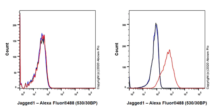 Flow Cytometry - Anti-Jagged1 antibody [EPR23647-75] - BSA and Azide free (AB273578)