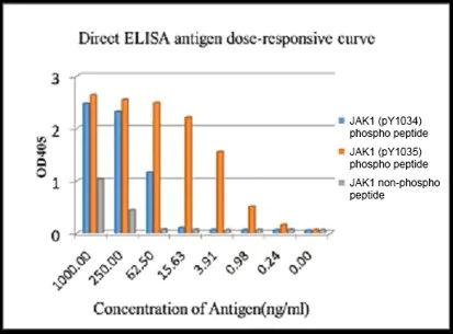 ELISA - Anti-JAK1 (phospho Y1034 + Y1035) antibody [EPR1899(2)] - BSA and Azide free (AB203784)