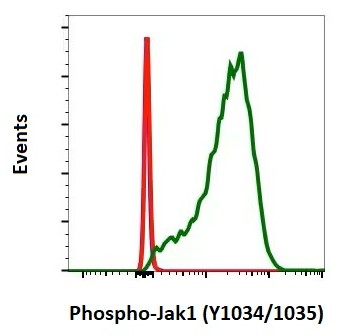 Flow Cytometry - Anti-JAK1 (phospho Y1034 + Y1035) antibody [Jak1Y10221023-F11] (AB278781), expandable thumbnail