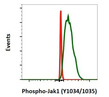 Flow Cytometry - Anti-JAK1 (phospho Y1034 + Y1035) antibody [Jak1Y10221023-F11] (AB278781), expandable thumbnail