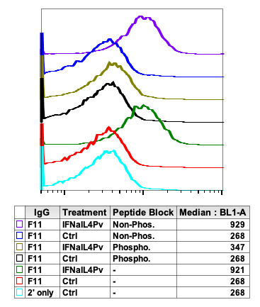 Flow Cytometry - Anti-JAK1 (phospho Y1034 + Y1035) antibody [Jak1Y10221023-F11] (AB278781), expandable thumbnail