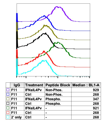Flow Cytometry - Anti-JAK1 (phospho Y1034 + Y1035) antibody [Jak1Y10221023-F11] (AB278781)