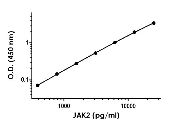 Sandwich ELISA - Anti-JAK2 antibody [EPR22201-7] - BSA and Azide free (Capture) (AB259701), expandable thumbnail