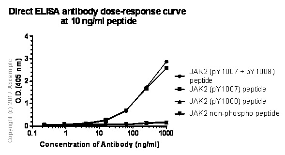 ELISA - Anti-JAK2 (phospho Y1007 + Y1008) + JAK1 (phospho Y1034 + Y1035) antibody [E132] - BSA and Azide free (AB219728), expandable thumbnail