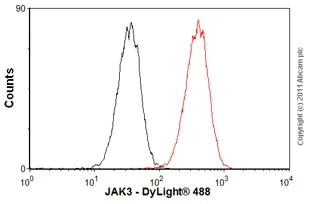 Flow Cytometry (Intracellular) - Anti-JAK3 antibody [EP909Y] - BSA and Azide free (AB232005)