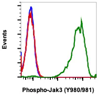 Flow Cytometry - Anti-JAK3 (phospho Y980 + Y981) antibody [JAK3Y980981-E10] (AB278789)