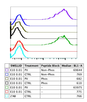 Flow Cytometry - Anti-JAK3 (phospho Y980 + Y981) antibody [JAK3Y980981-E10] (AB278789)