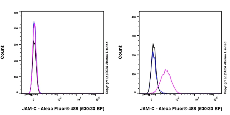 Flow Cytometry - Anti-JAM-C antibody [EPR29224-576] (AB318984)