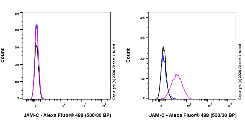 Flow Cytometry - Anti-JAM-C antibody [EPR29224-576] - BSA and Azide free (AB318985)