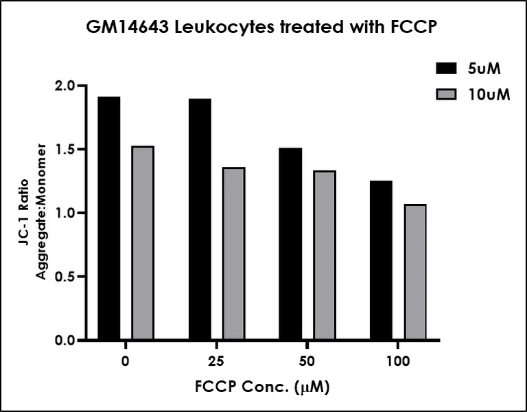 Functional Studies - JC-1 - Mitochondrial Membrane Potential Assay Kit (AB288313)
