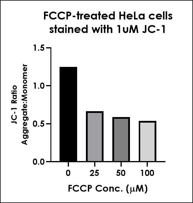 Functional Studies - JC-1 - Mitochondrial Membrane Potential Assay Kit (AB288313)