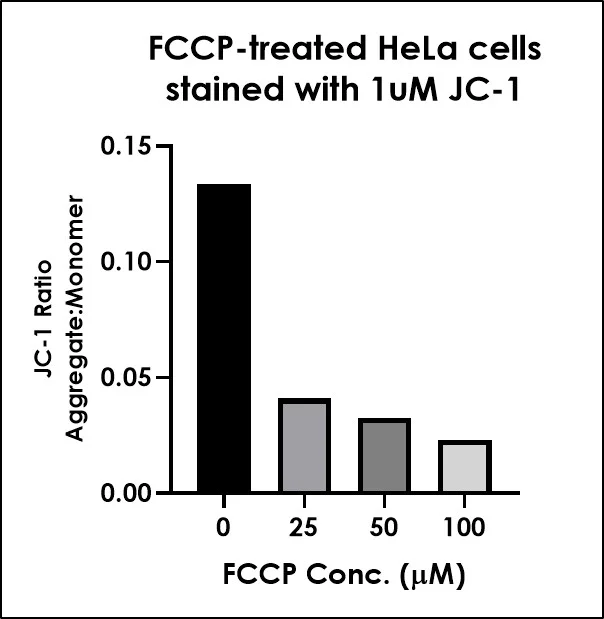 Functional Studies - JC-1 - Mitochondrial Membrane Potential Assay Kit (AB288313)