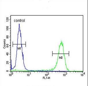 Flow Cytometry (Intracellular) - Anti-JHDM1D antibody (AB230894)