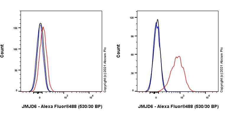 Flow Cytometry - Anti-JMJD6 antibody [EPR23672-71] (AB256798)