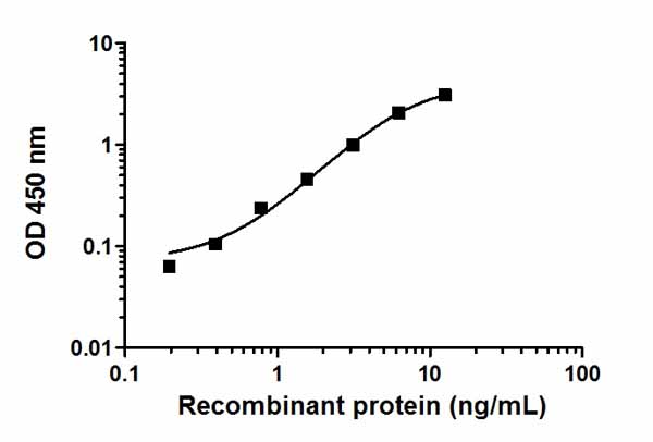 Sandwich ELISA - JNK 1/2 ELISA Kit (AB176646)