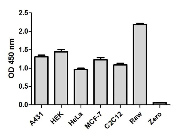 Sandwich ELISA - JNK 1/2 (pT183/Y185) ELISA Kit (AB176645)