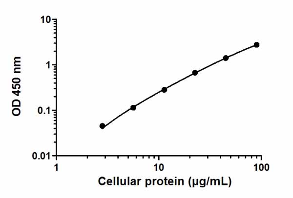 Sandwich ELISA - JNK 1/2 (pT183/Y185) ELISA Kit (AB176645), expandable thumbnail