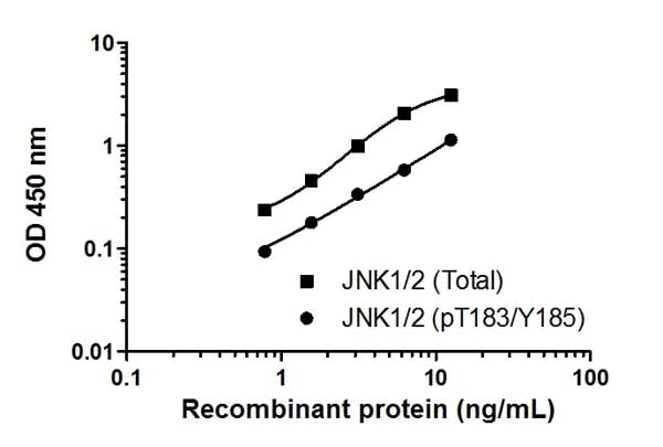 Sandwich ELISA - JNK 1/2 (pT183/Y185 + Total) ELISA Kit (AB176662)